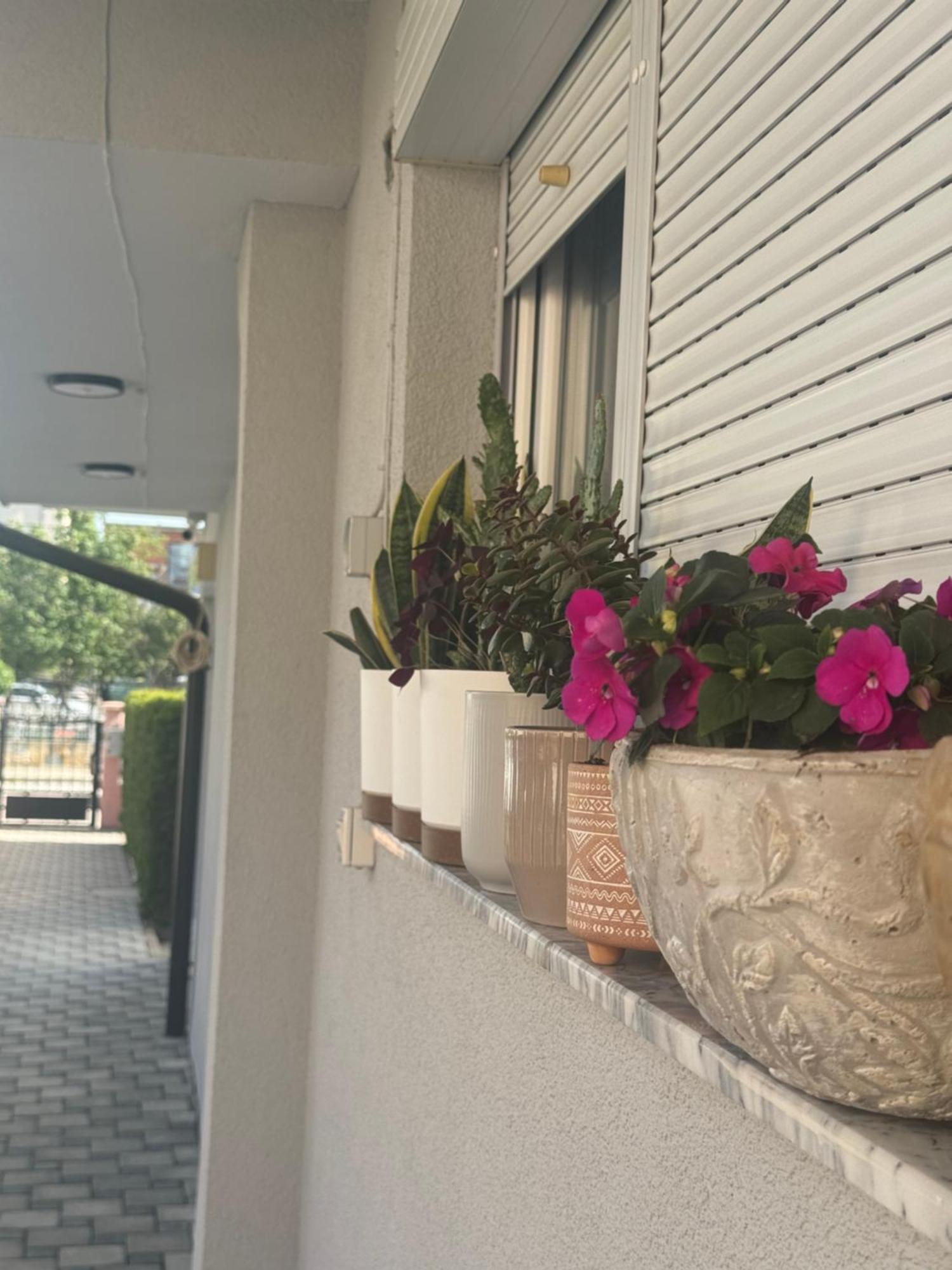 Vila Bolonja Struga Dış mekan fotoğraf